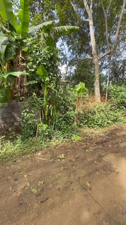 Đất nền lô góc 2 mặt tiền 2200m² tại Cẩm Châu, Cẩm Thủy - Cơ hội đầu tư tuyệt vời!