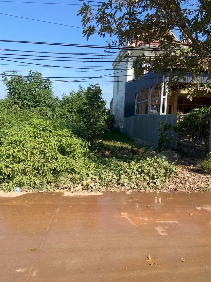 Lô đất Trục Xã 306 - Thái Sơn, An Lão, Hải Phòng 130m² - Tiềm năng kinh doanh lớn!