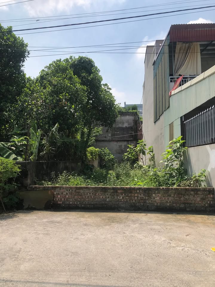 Đất Kiêu Kỵ, Gia Lâm 68m² giá 4.42 tỷ - Đầu tư sinh lời ngay!