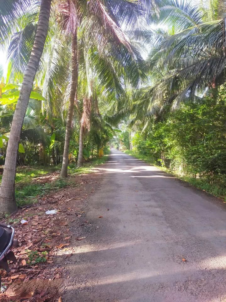 Đất nền Nhơn Thạnh Bến Tre 147.9m² giá 450 triệu - Mặt tiền đường nhựa rộng rãi