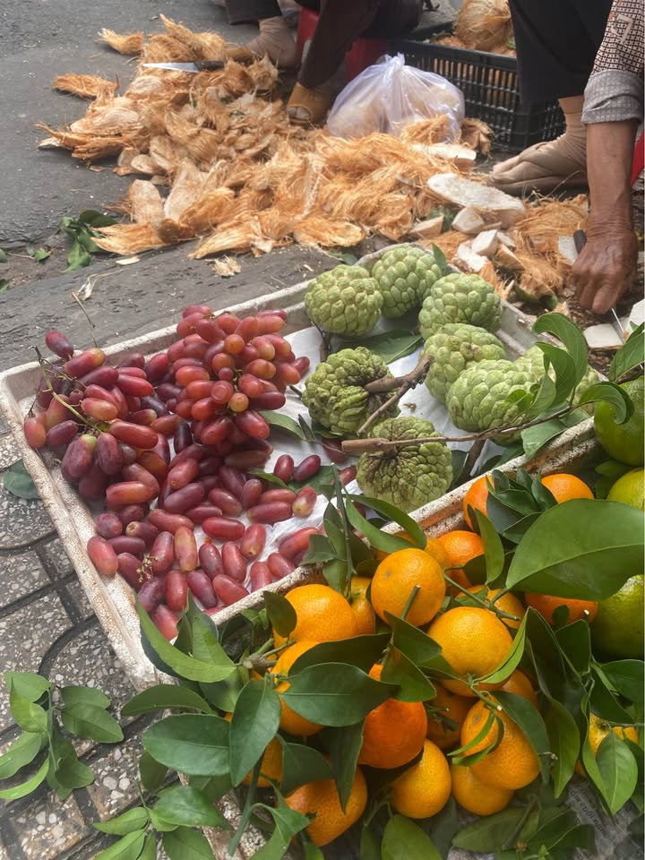 Nhà mặt tiền Quốc lộ 57B tại Châu Thành, Bến Tre - 205m² chỉ 1.6 tỷ