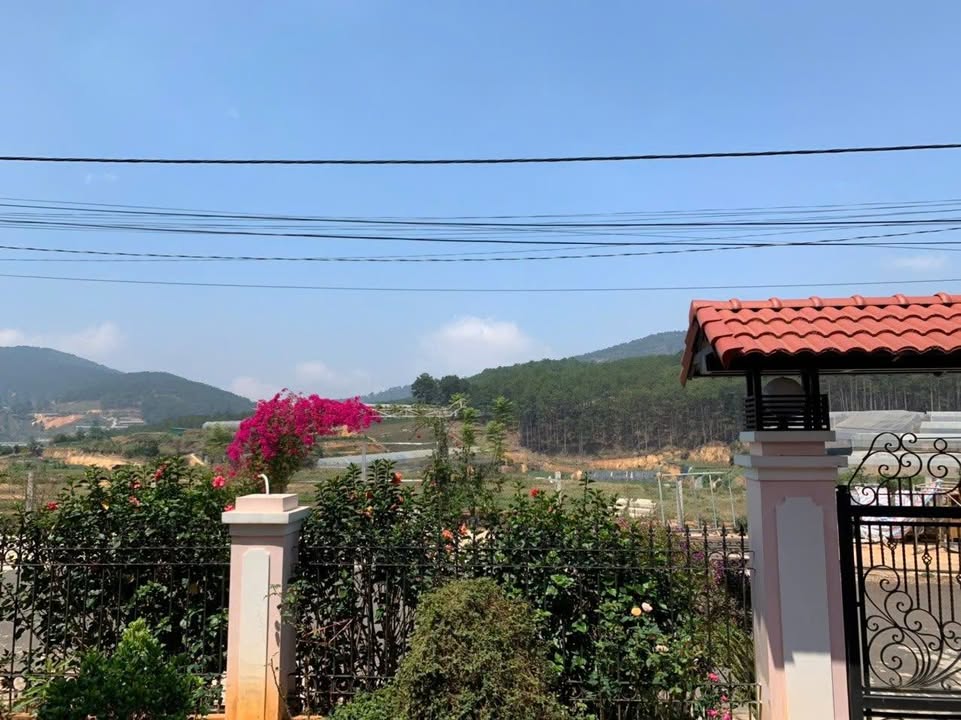 Đất nền đẹp tại phường 4, Đà Lạt 200m² - Chính chủ bán gấp!