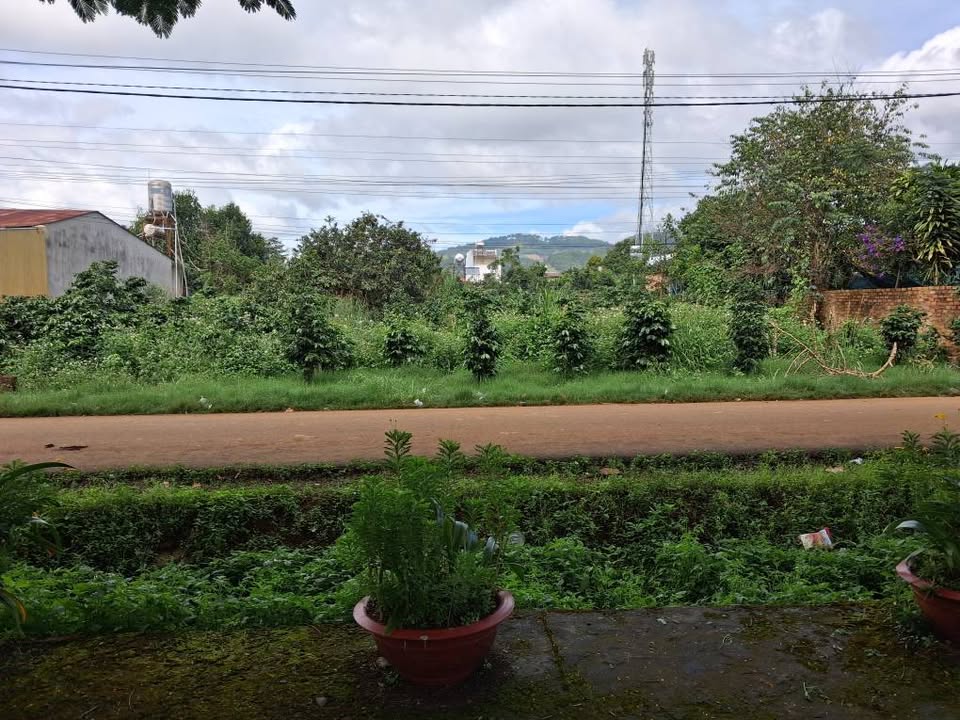 Đất 1000m² tại Cam Ly Đà Lạt - Mặt tiền đường, pháp lý rõ ràng!