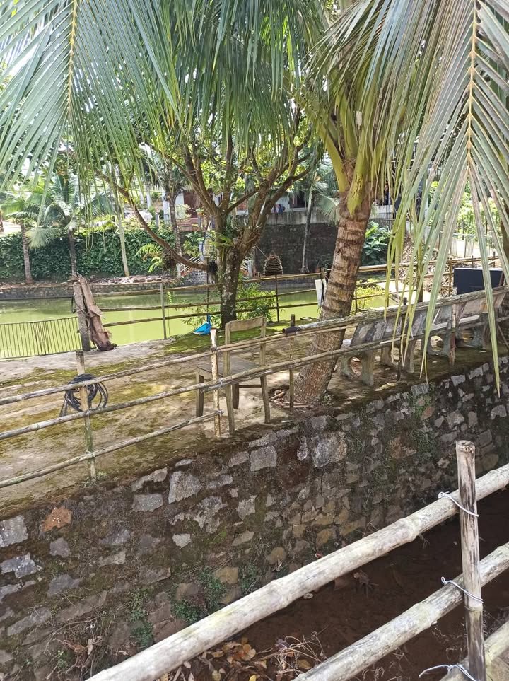 Đất nền Lộc Tiến Bảo Lộc 700m² giá 1.3 tỷ - Cơ hội đầu tư tuyệt vời!