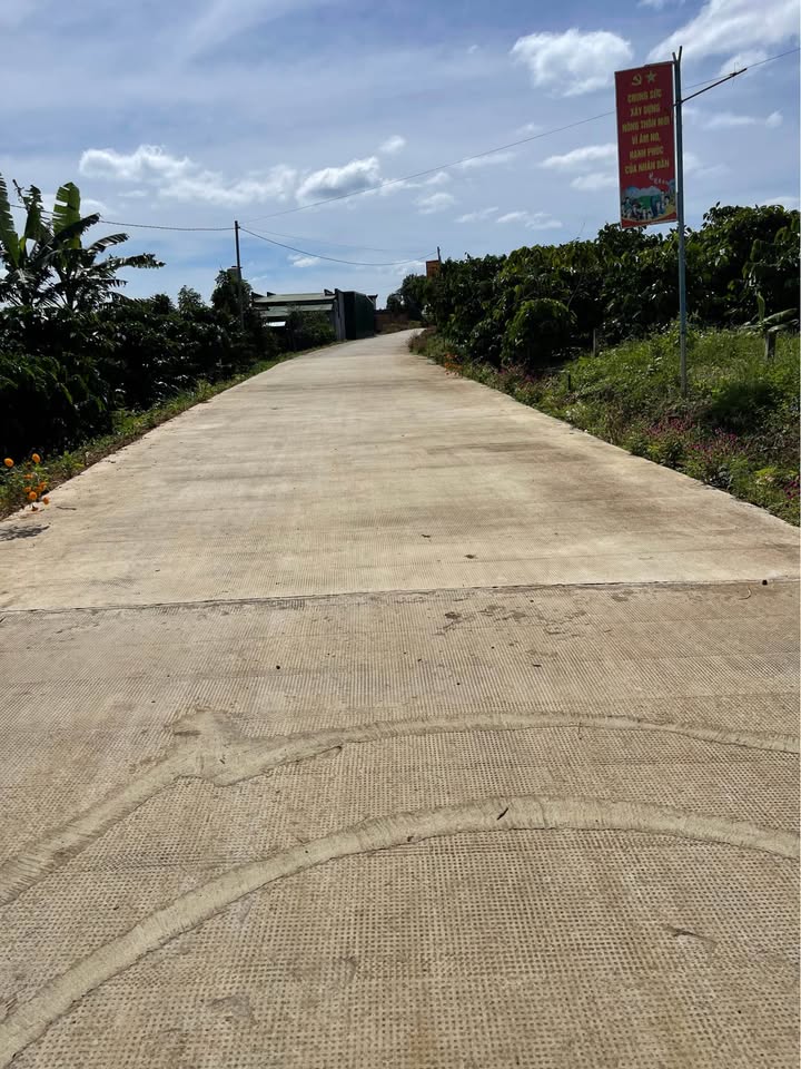 Đất vườn Hòa Trung 6000m² giá 3.2 tỷ - Cơ hội đầu tư tuyệt vời!