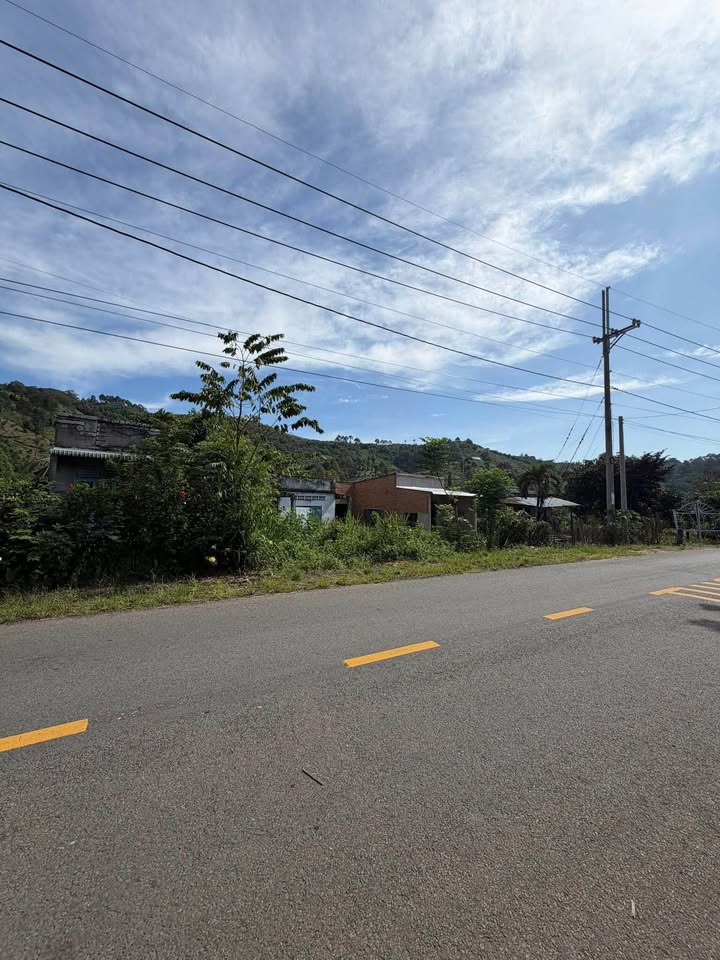 Đất Farm 14000m² tại ấp Bàu Chim, Tân Phú - Giá chỉ 2.3 tỷ, Sổ đỏ chính chủ!