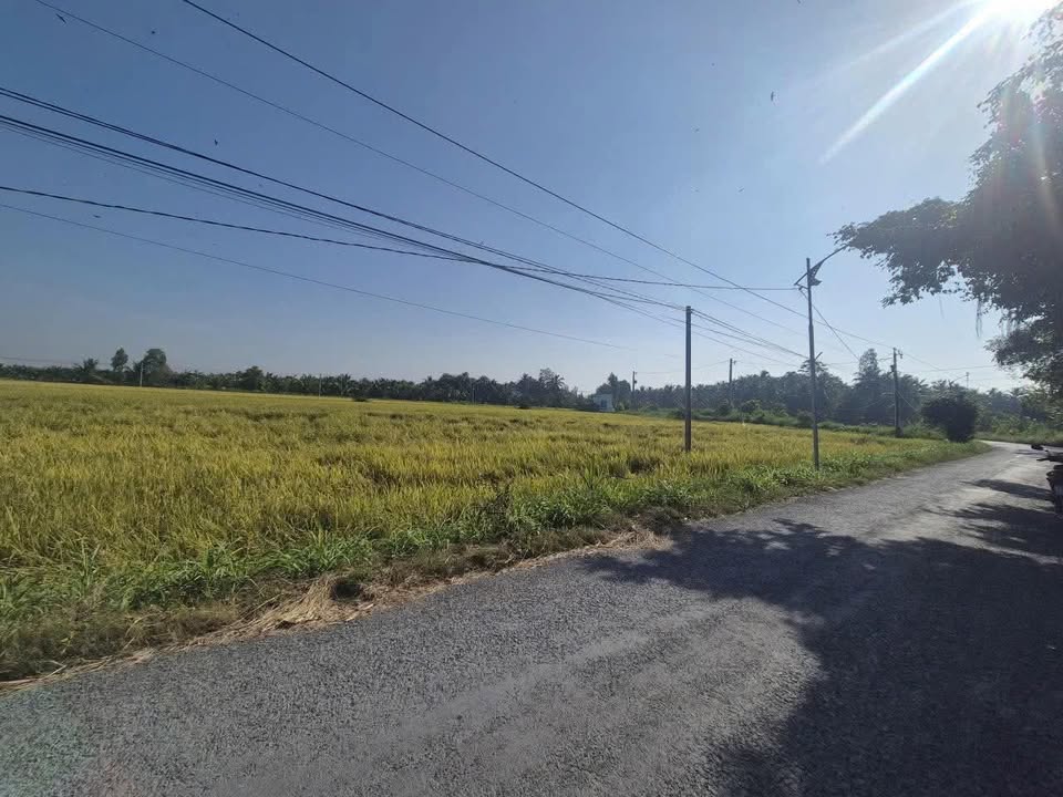 Đất nền Vĩnh Hựu Gò Công Tây 155m² giá 300 triệu - Đầu tư sinh lợi nhanh chóng!