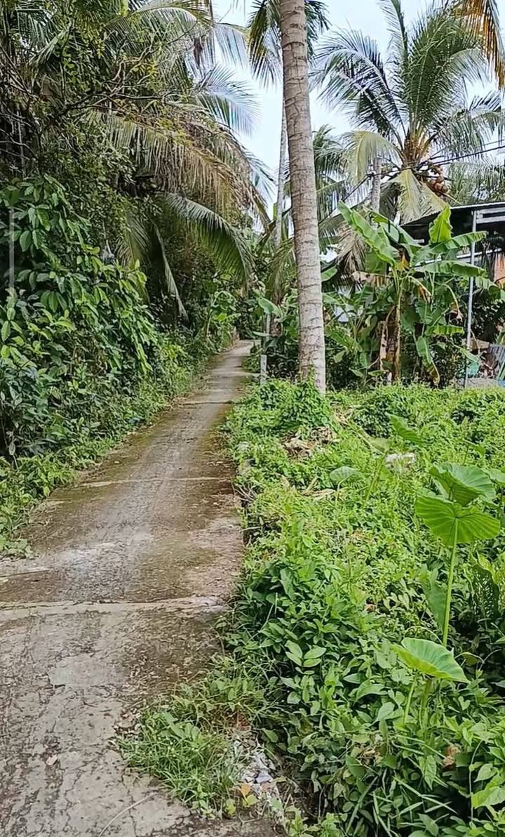 Đất nền 80m² giá chỉ 100 triệu - Cơ hội đầu tư tại Phường Thanh Hoà, Đồng Tháp!