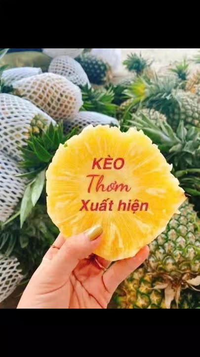 Đất nền 2 lô bên đường Trưng Nữ Vương, 300m² giá 330 triệu - Cơ hội đầu tư sinh lời!