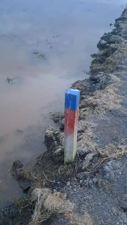 Đất lúa Tân Thạnh Tây, Củ Chi 1000m² chỉ 880 triệu - Cơ hội đầu tư sinh lời!