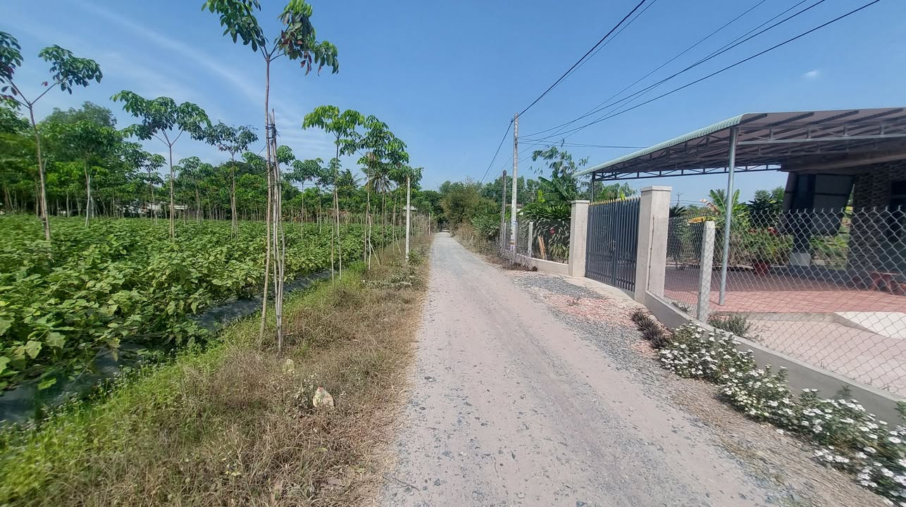 Đất nền Thạnh Đức Gò Dầu 4600m² - Giá rẻ đầu tư ngay!