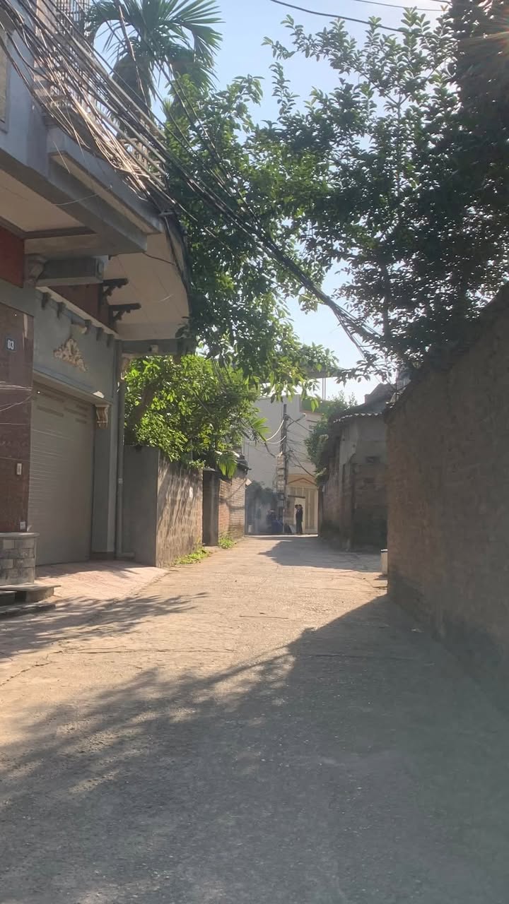 Đất nền Thanh Miếu, Việt Trì 118m² - Gần chợ Đồi Cam chỉ 100m!