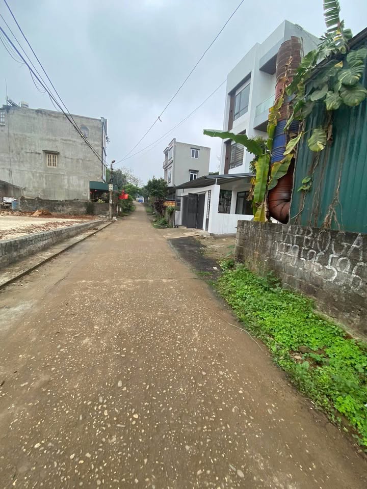 Đất nền lô góc An Tường 346m² giá 2.3 tỷ - Xây nhà vườn cực đẹp!