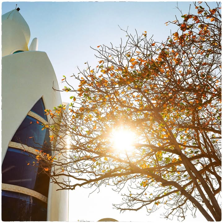 Căn hộ chung cư phố Tây Nha Trang 80m² giá 9 triệu - Cơ hội thuê nhà tuyệt vời!