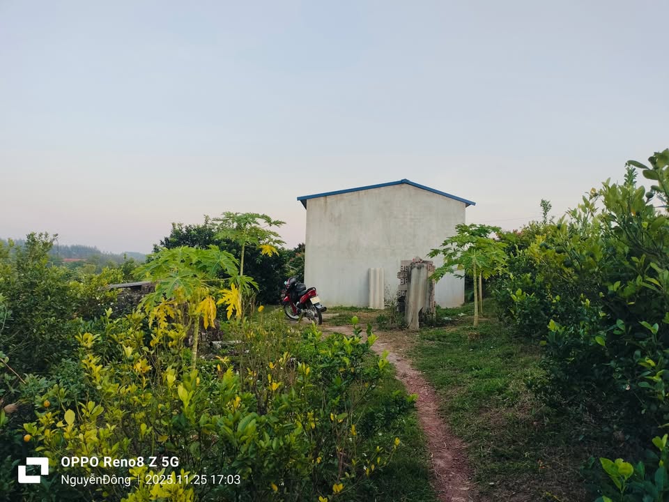 Đất Farm 5.680m² tại xã Đồng Tâm, Yên Thế - Cơ hội đầu tư tuyệt vời!