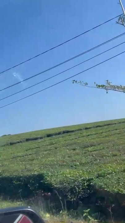 Đất Mặt Đường Chính Trung Giáp, Phù Ninh, 300m² giá 1 tỷ - Đầu tư sinh lời hấp dẫn!