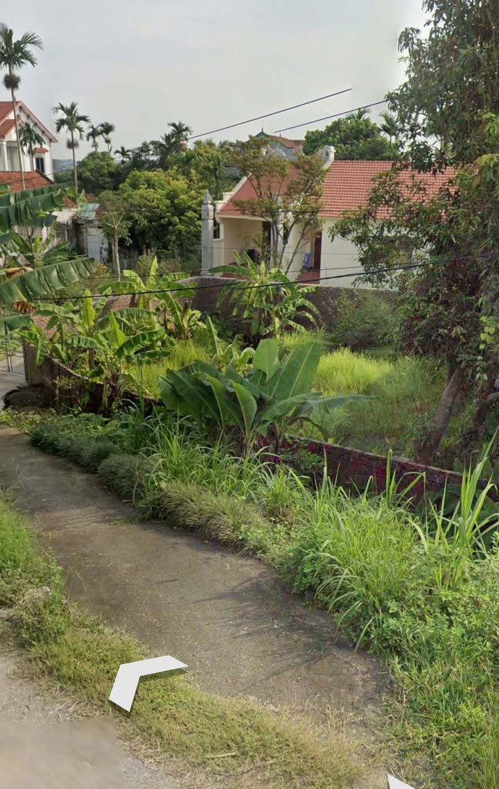 Đất nền chính chủ Đê Tả Thao, Thanh Ba 94.7m² giá 700 triệu - Cơ hội đầu tư tiềm năng!