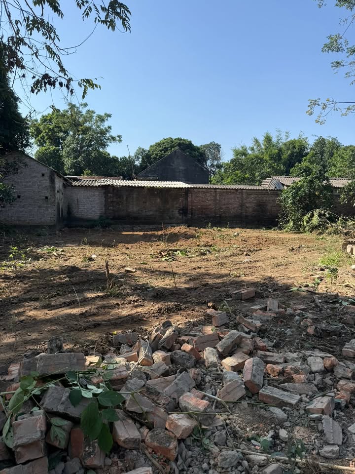 Đất nền tại Danh Thắng, Hiệp Hoà 120m² giá 600 triệu - Đầu tư sinh lời ngay!