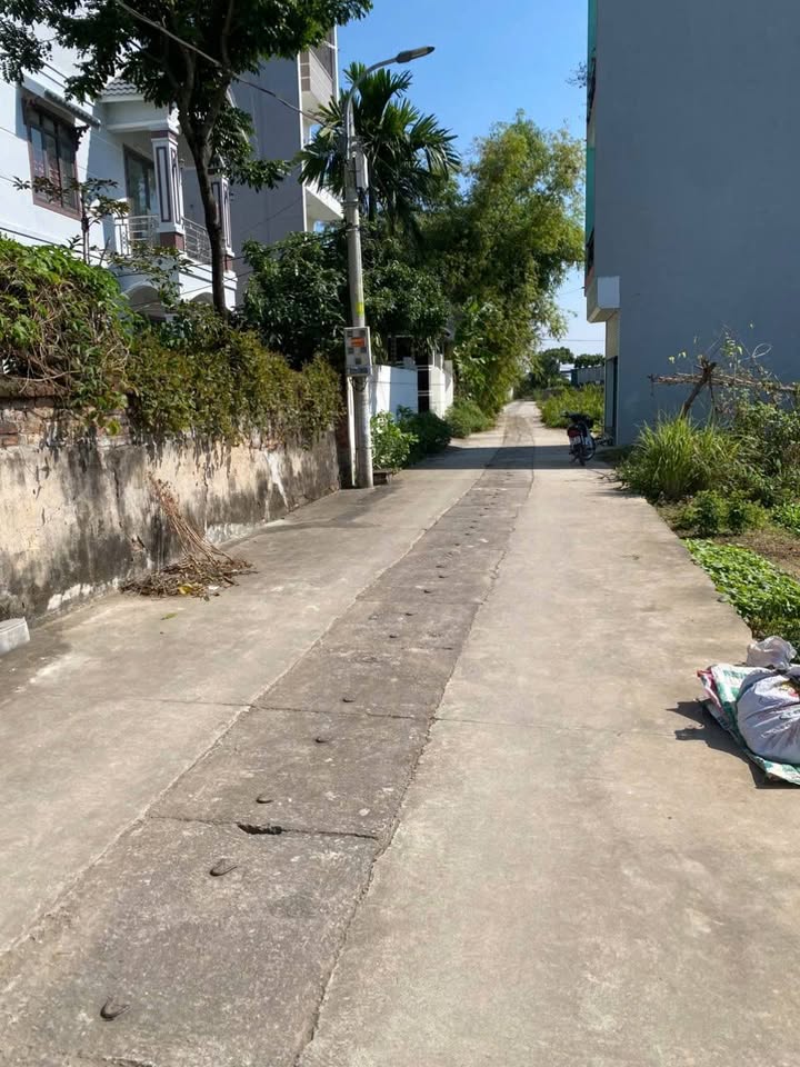 Đất nền Quang Minh Mê Linh 60,3m² giá 5 tỷ - Đầu tư sinh lời hấp dẫn!