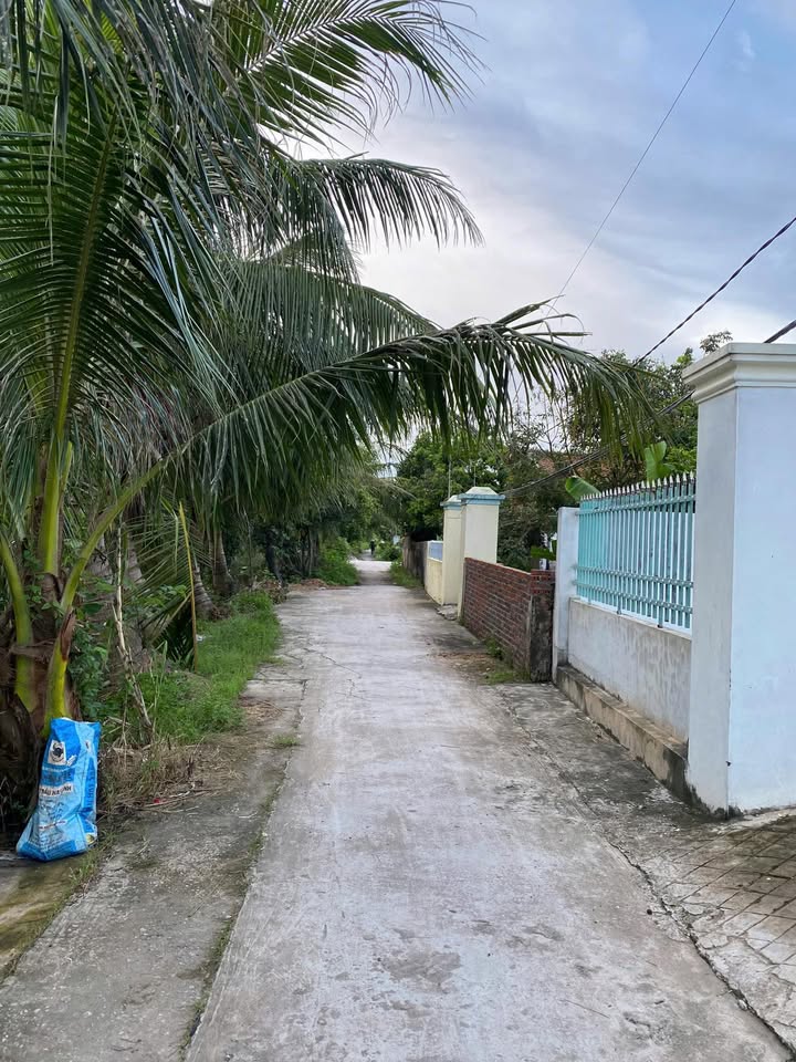 Đất nền Tiên Lãng 125m² giá 800 triệu - Đầu tư sinh lời ngay!