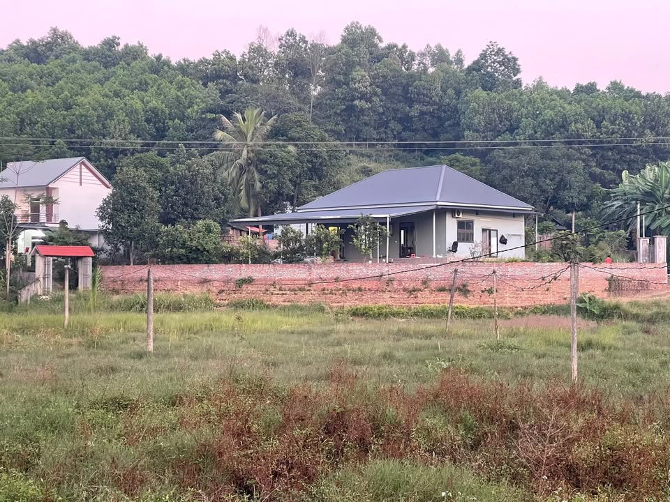 Đất 2 mặt tiền tại xã Đông Thành, Thanh Ba, 1200m² - Nhà vườn mới xây kiên cố