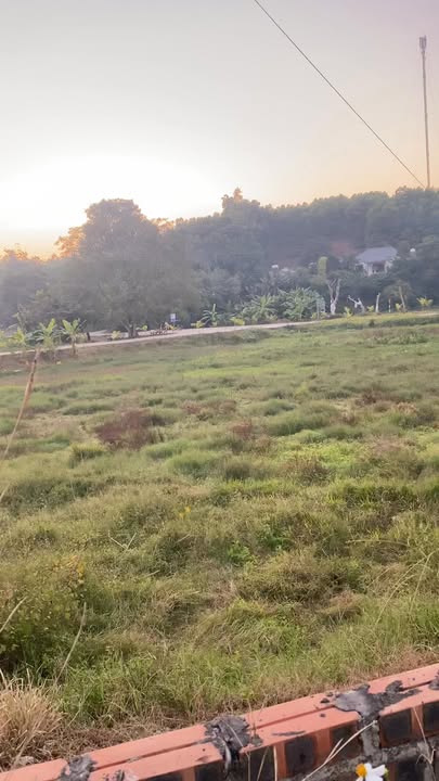 Đất 2 mặt tiền xã Đông Thành Phú Thọ 1200m² - Nhà vườn mới xây kiên cố!