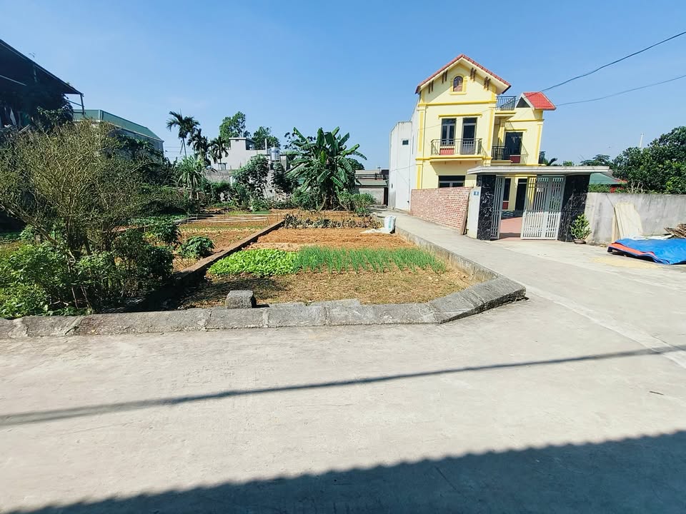 Đất nền lô góc 70m² tại Đồng Trúc, Thạch Thất - Ô tô vào tận đất, giá thỏa thuận!