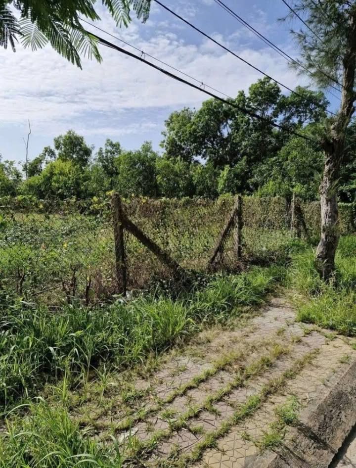 Đất thổ cư mặt tiền Thạnh Thới, Cần Giờ 4035m² giá 77 tỷ - Cơ hội đầu tư hấp dẫn!