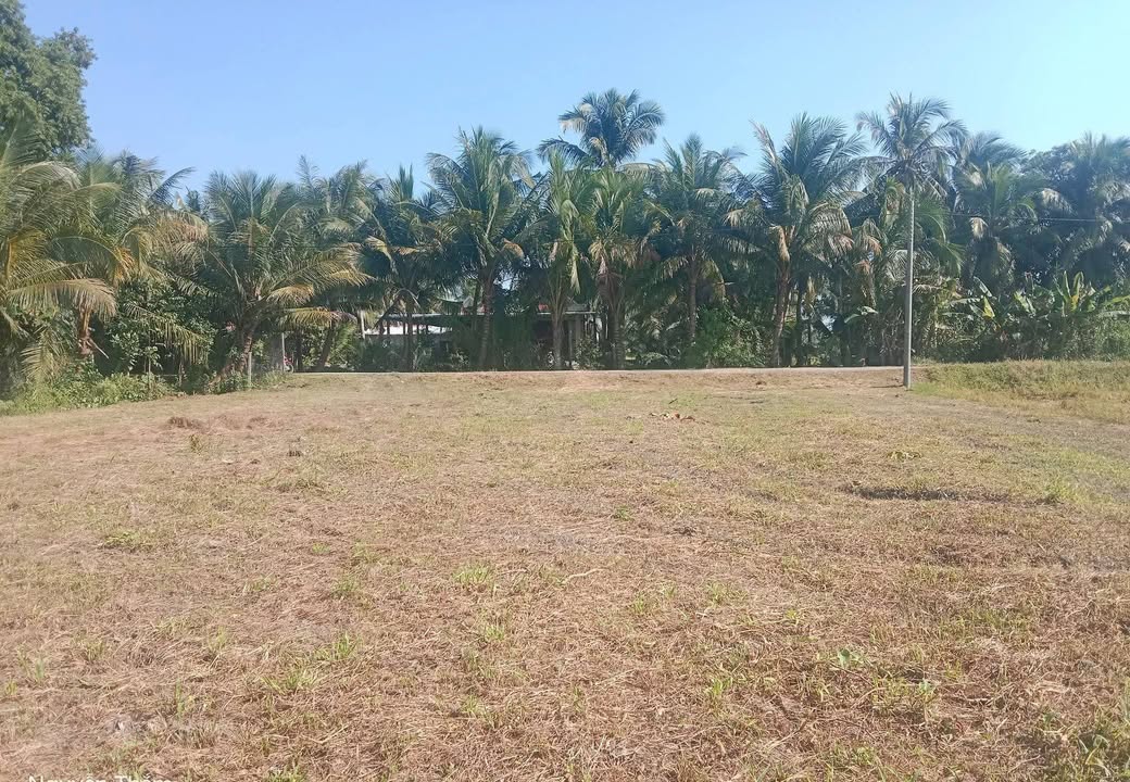 Đất nền Tân Long Hội 183m² giá thương lượng - Đường ô tô vào tận nơi!