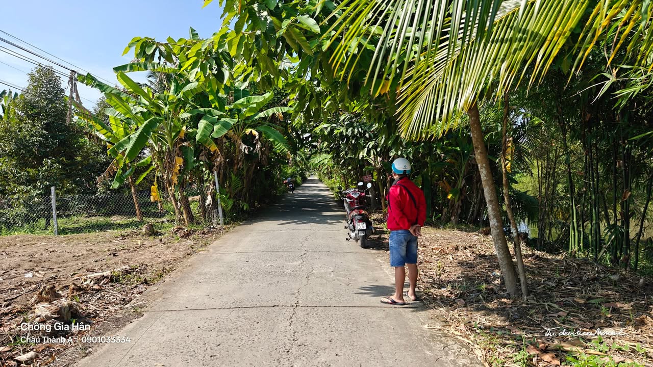 Đất nền Trường Long Tây, Phong Điền 458m² giá 730 triệu - Cơ hội đầu tư hấp dẫn!