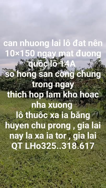 Đất thổ cư 200m² tại Quốc lộ 14, xã Ia Tor, huyện Chư Prông - Đầu tư sinh lời ngay!