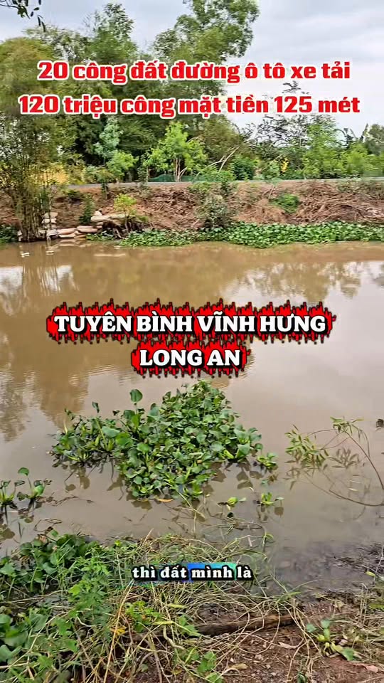 Đất nền Tuyên Bình Vĩnh Hưng 10.000m² giá chỉ 1.2 tỷ - Mặt tiền đường ô tô thuận tiện!