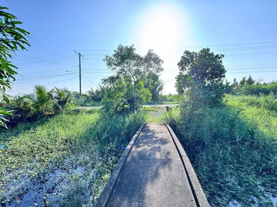 Đất lúa 1315m² tại Phước Đông, Cần Đước - Giá 2.5 tỷ, cơ hội đầu tư hấp dẫn!