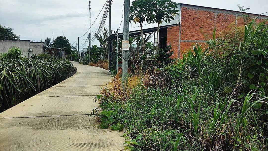 Đất thổ cư xã Bình Tâm, TP. Tân An 154m² giá 1.25 tỷ - Sẵn sàng định cư!