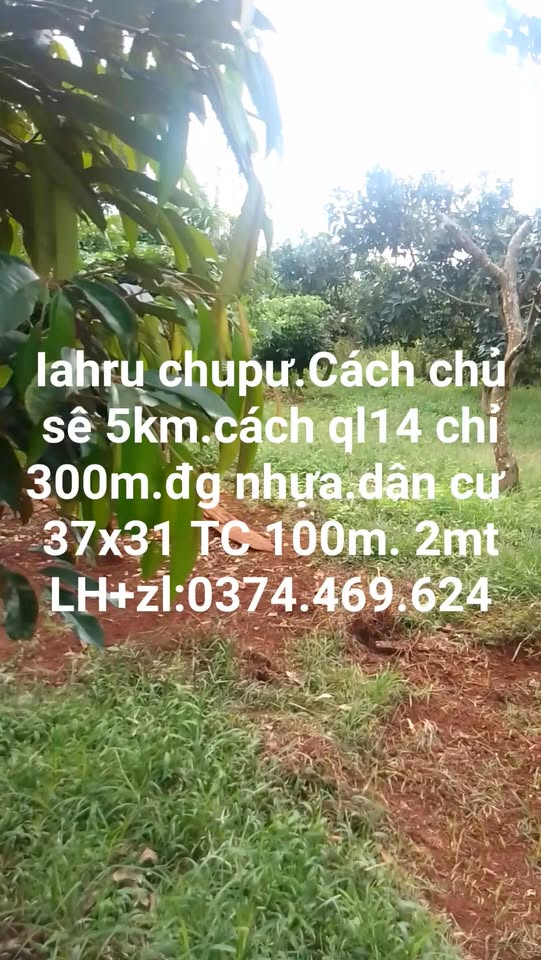 Đất nền Ia Hrú, Chư Pưh 1147m² giá 1.705 tỷ - Đầu tư sinh lời hấp dẫn!