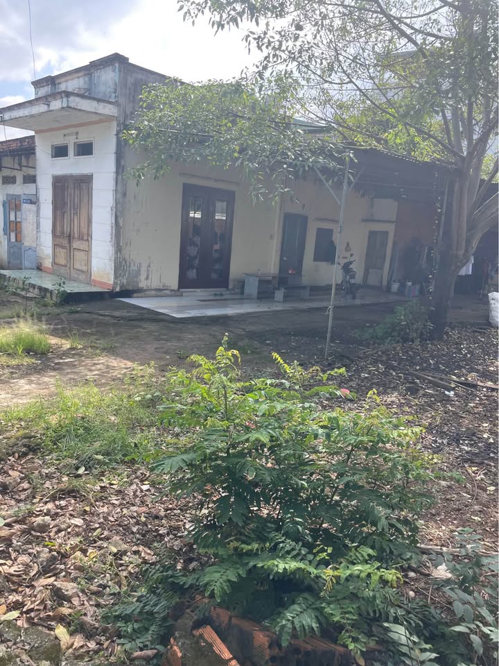 Nhà cấp 4 Khánh Xuân, Buôn Ma Thuột 228m² giá 2.4 tỷ - Vị trí tiềm năng quy hoạch mở rộng!