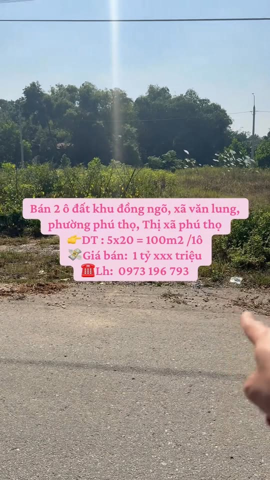 Đất thổ cư 100m² tại Văn Lung, Phú Thọ - Đầu tư sinh lời ngay!