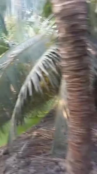 Đất nông nghiệp Trung Hòa, Chợ Gạo 2.851m² giá 2.15 tỷ - Cơ hội đầu tư hấp dẫn!