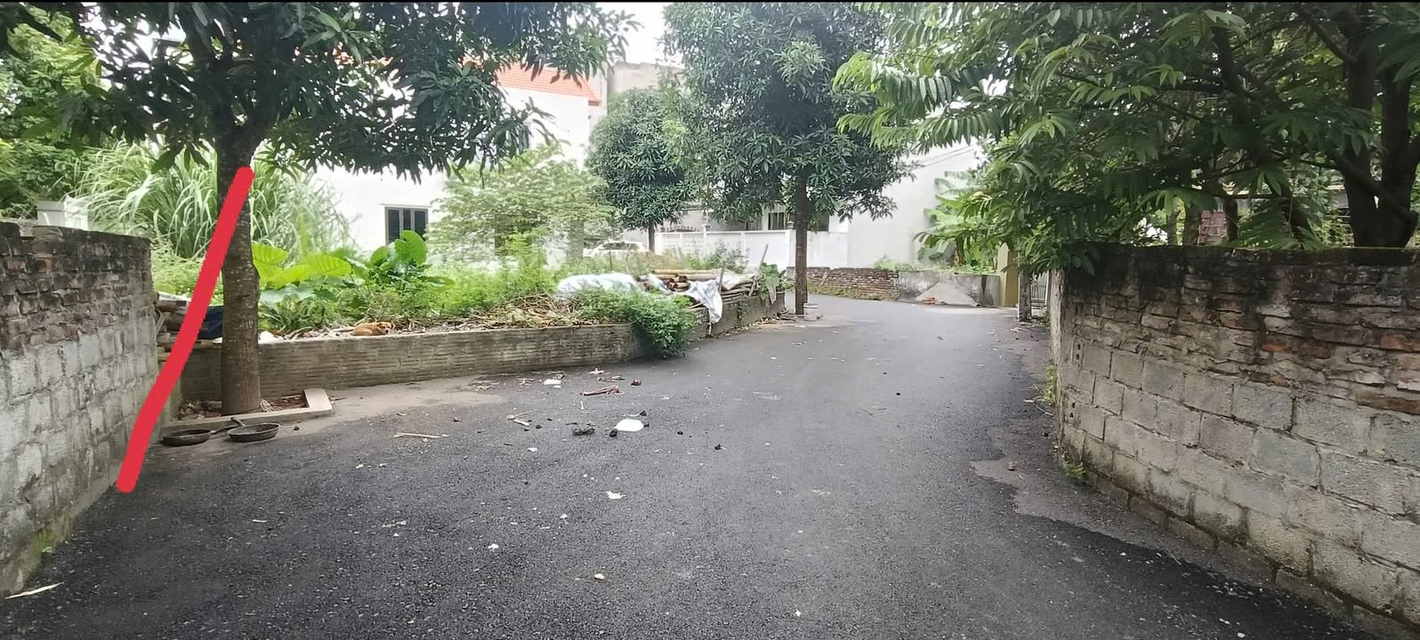 Đất nền Quang Trung, Phủ Lý 60m² giá 1 tỷ - Đầu tư sinh lời hấp dẫn!