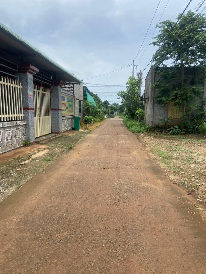 Đất nền Xuân Định, 155m² chỉ 550 triệu - Sổ đỏ chính chủ, cơ hội đầu tư tuyệt vời!