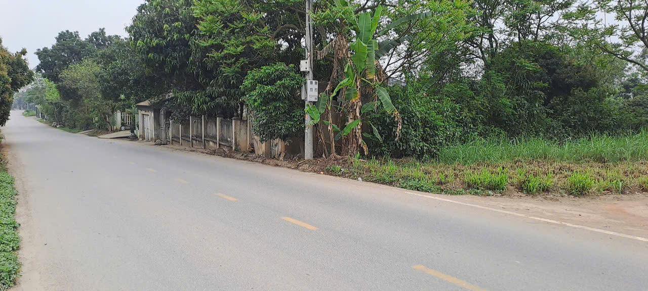 Đất thổ cư 199m² tại Xuân Hoà, Lập Thạch - Đường nhựa ô tô tránh nhau, giá chỉ 1 tỷ!