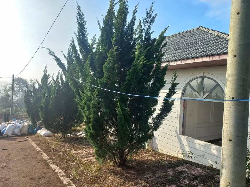 Đất Lộc An 100m² giá chỉ 380 triệu - Cơ hội đầu tư tuyệt vời!