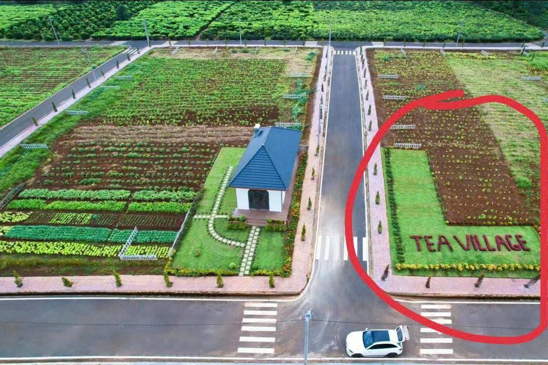 Đất Lộc An 100m² giá chỉ 295 triệu - Đầu tư sinh lời nhanh!