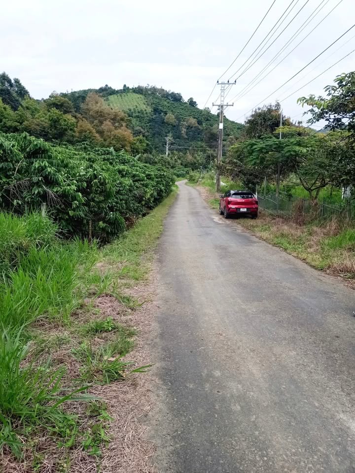 Đất nền Lộc Thành Bảo Lộc 118m² giá thỏa thuận - Hướng Đông, vị trí đẹp gần sông