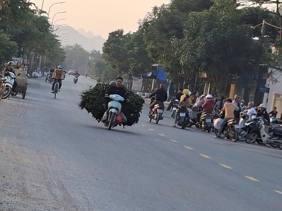 Đất thổ cư 100% xã Hương Sơn, Mỹ Đức 280m² giá 14 tỷ - Sổ hồng riêng, nhà cấp 4 tặng kèm!