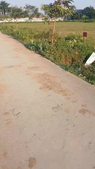 Đất nền chính chủ Yên Khang, Ý Yên 288m² - Cơ hội đầu tư tuyệt vời!