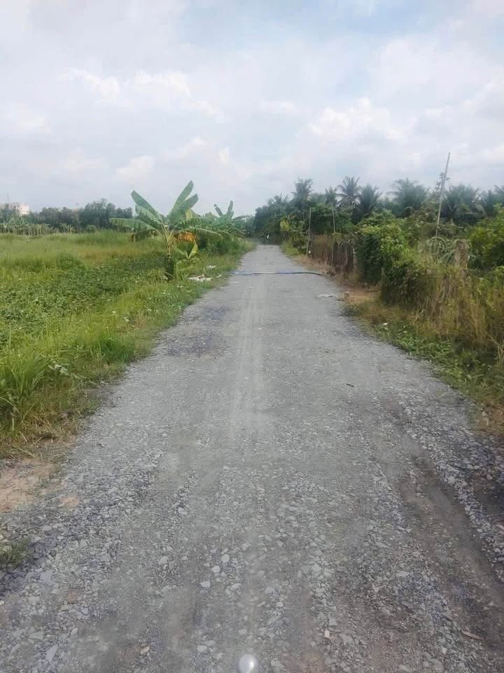 Đất 1000m² Phường 7, TP. Tân An giá 950 triệu - Cơ hội đầu tư tuyệt vời!