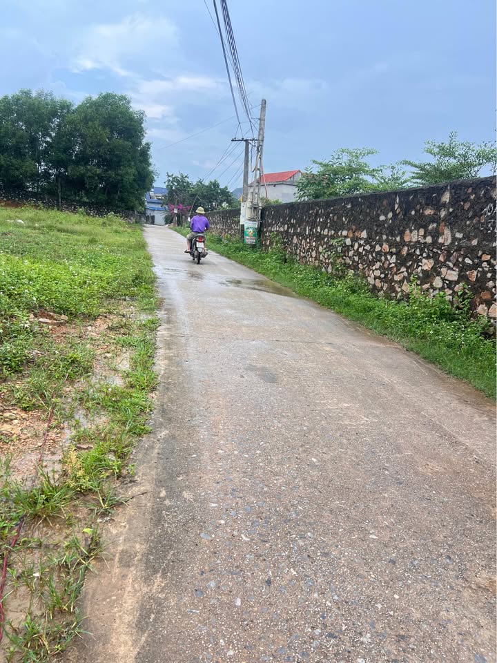 Đất nền Lục Nam Bắc Giang 100m² giá 3 tỷ - Mặt tiền Chính Thượng, cơ hội đầu tư lý tưởng!