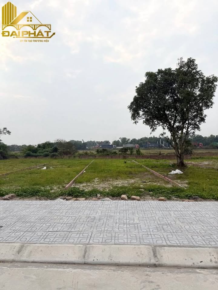 Đất nền phường Hải Hoà Móng Cái 212.6m² - Mặt tiền đẹp, giá tốt thương lượng!