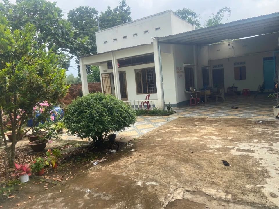 Đất tặng nhà 337m² tại Đông Hòa, Hưng Thịnh, 1.2 tỷ - Cơ hội sở hữu hiếm có!